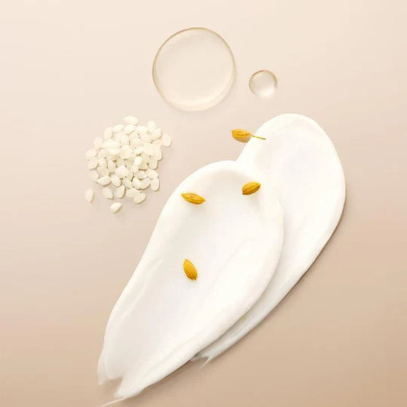 FULLY Rice Dough Modeling Mask