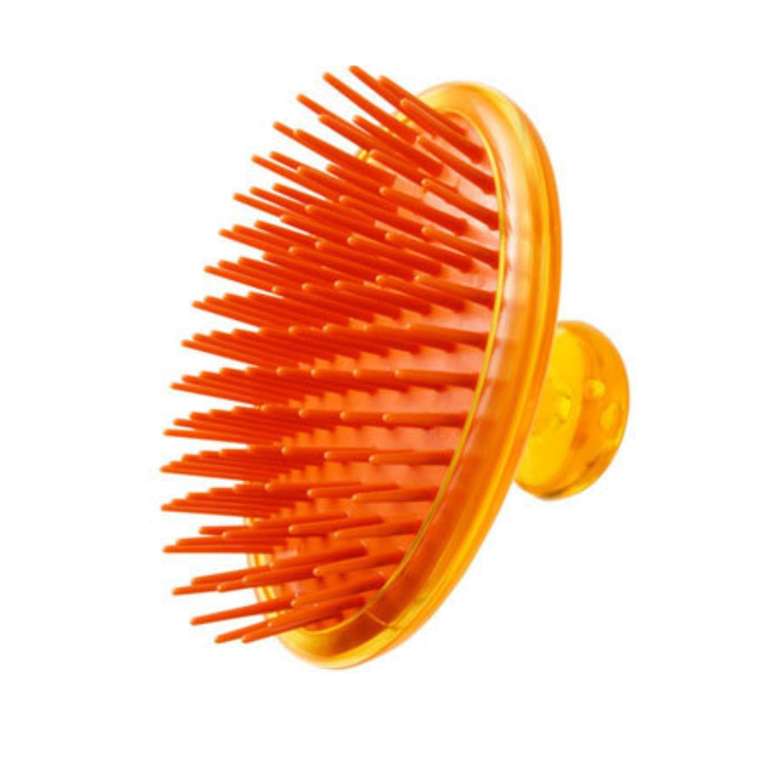 Vess Honey Shampoo Brush H-600