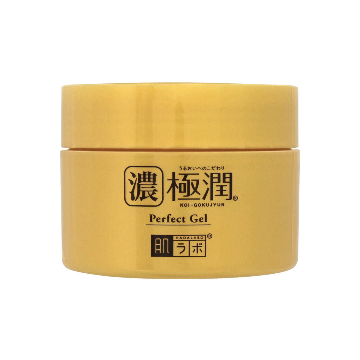 Rohto Hada Labo Gokujun Perfect Gel Beauty Rohto