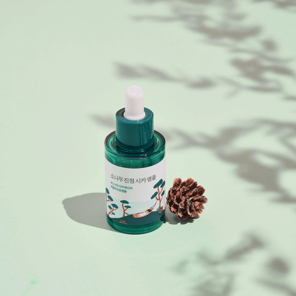 Round Lab Pine Calming Cica Ampoule Beauty Roundlab