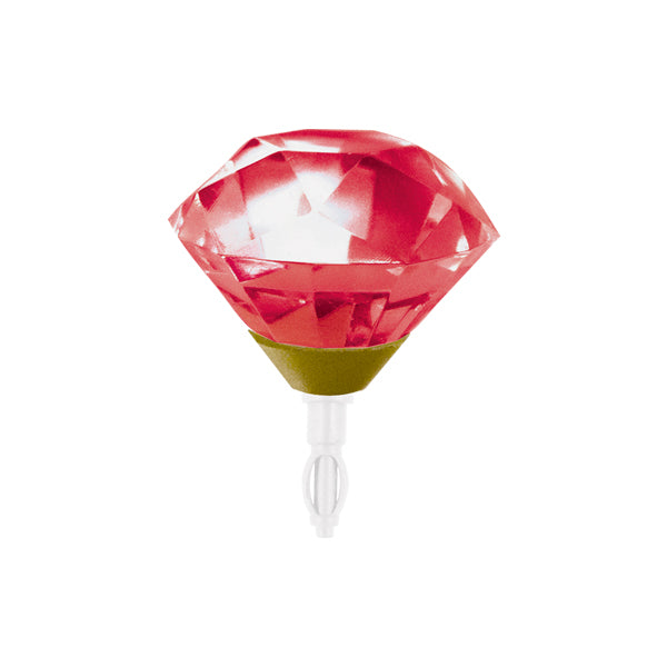 Decoppin Birthstone - Garnet (January) Lifestyle Dreams   
