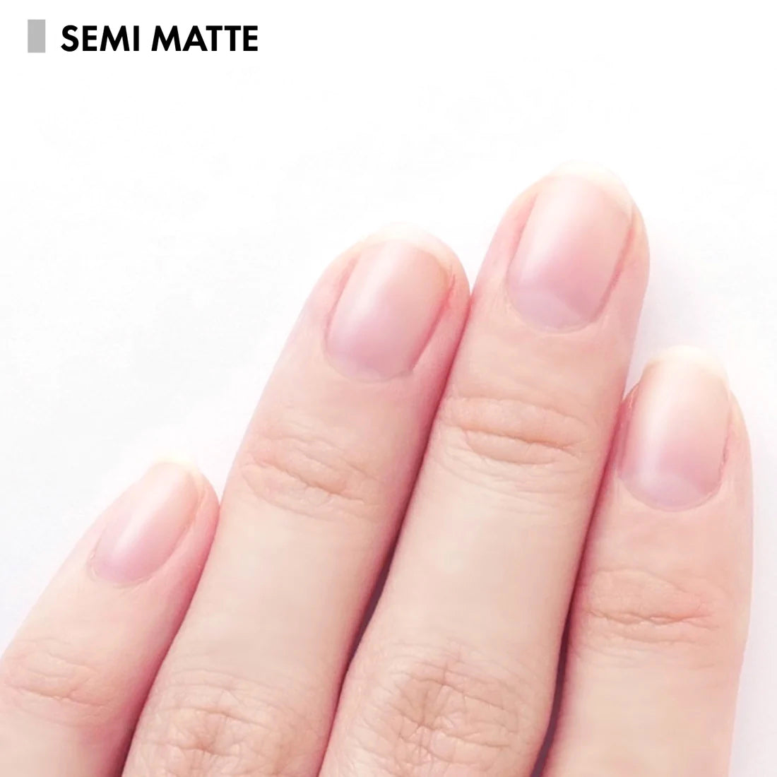 HOMEI 12 Free Nail Hardener Semi Matte Nail Polishes Homei   